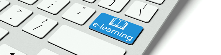 El e learning será la modalidad educativa dominante en 2019